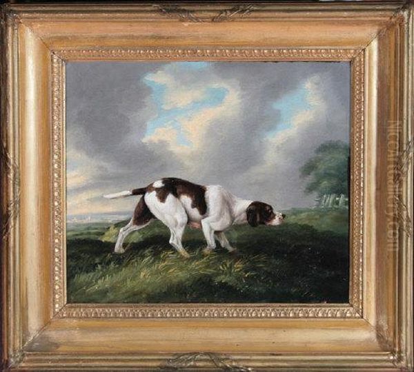 A Portrait Of A Pointer In A Landscape - view 1