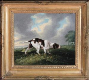A Portrait Of A Pointer In A Landscape