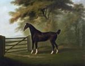 Cheval De Chasse A La Porte Du Pre by John Nost Sartorius