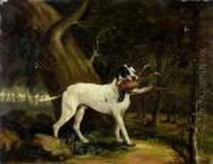 Pointer Et Faisan
