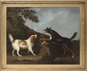 A Dispute Over A Bone