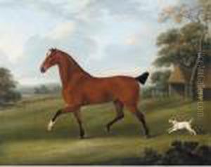 A Bay Hunter Trotting In A Landscape With A Dog A Bay Hunter Trotting In A Landscape With A Dog