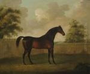 Portrait Of A Dark Bay Hunter In A Landscape Portrait Of A Dark Bay Hunter In A Landscape