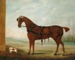 Portrait Of A Carriage Horse With A Spaniel