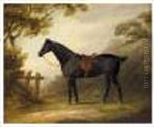Portrait Of A Saddled Dark Bay Hunter In A Landscape