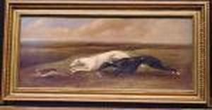 Two Greyhounds Coursing A Hare by John Nost Sartorius