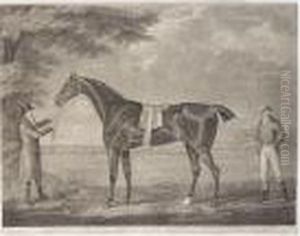'diamond', A Racehorse With Owner And Jockey