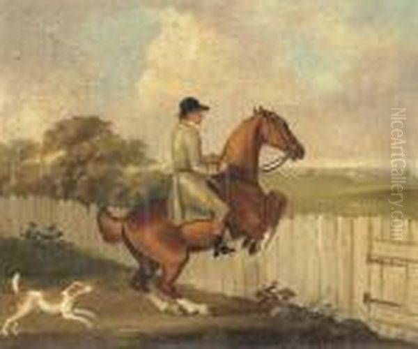 Taking The Fence - view 1