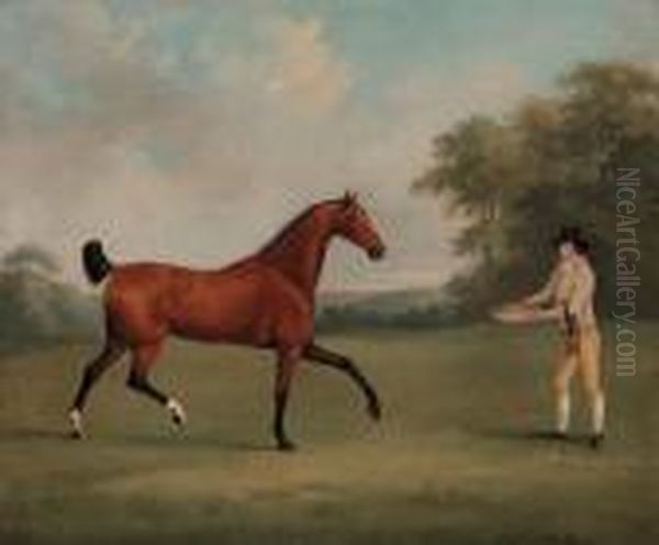 A Bay Hunter With A Groom, In A
Wooded Landscape; And A Saddled Bayhunter Held By A Groom, In A Wooded
Landscape - view 1