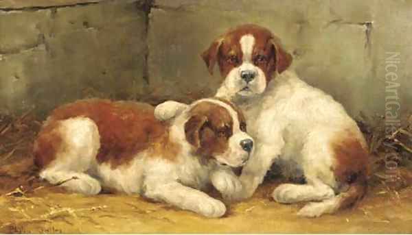 St. Bernard puppies - view 1