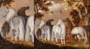 Chevaux En Liberte. Chevaux En Liberte.