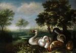 Federvieh In Weiter Baumlandschaft