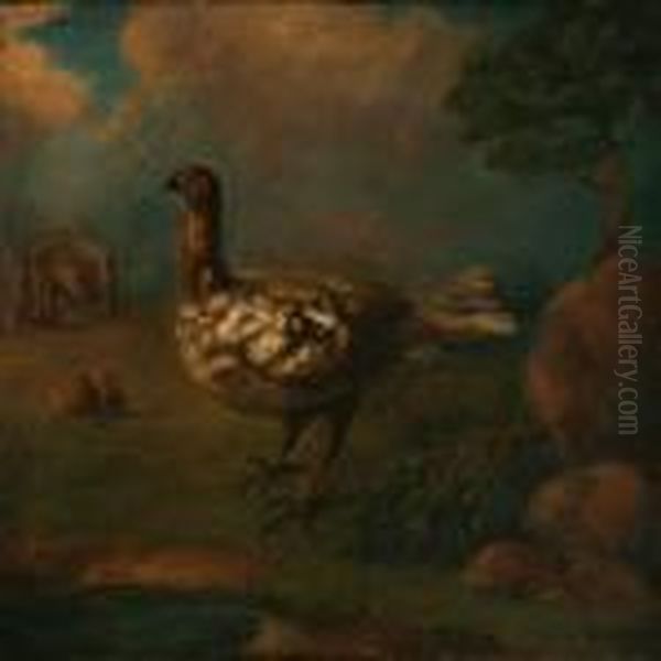 A Dodo - view 1