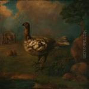 A Dodo by Roelandt Jacobsz Savery