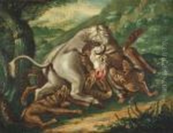 Wolves Attacking A Bull - view 1
