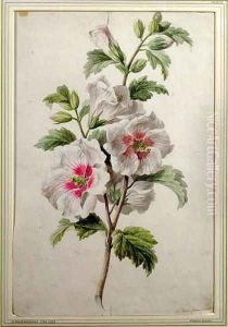 Hollyhocks by Gerard Van Spaendonck