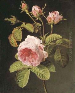 A sprig of pink cabbage roses by Gerard Van Spaendonck