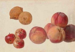 A study of peaches, lemons and crabapples by Gerard Van Spaendonck