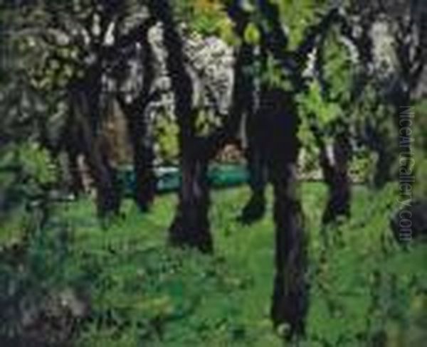 Park (city Park), Early 1920 - view 1