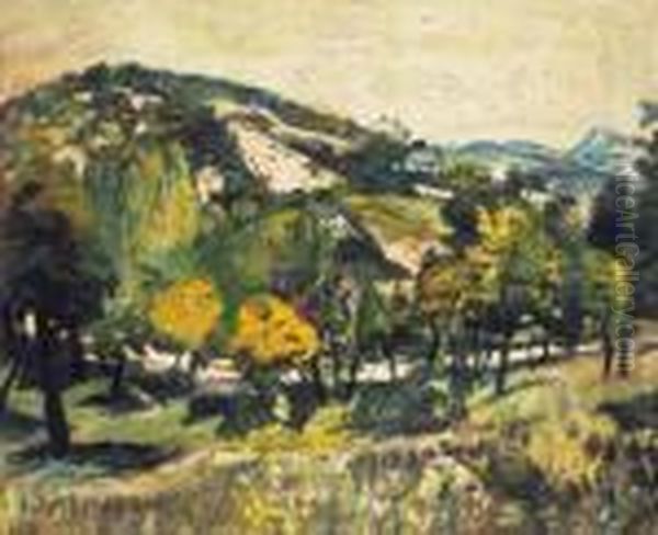 Mountains Of Buda, Around 1920 - view 1