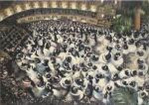 The Ball by Hugo Scheiber