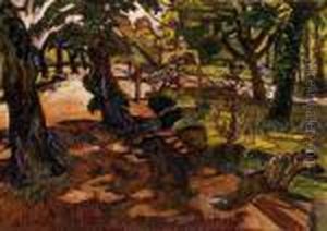 Park With A Bench
