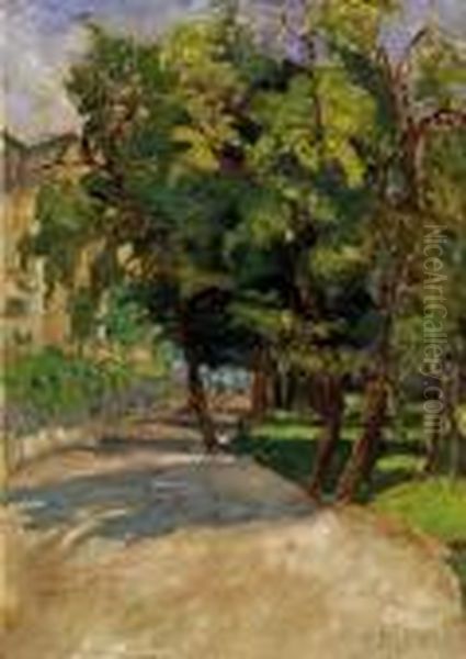 Shadowy Walkway - view 1