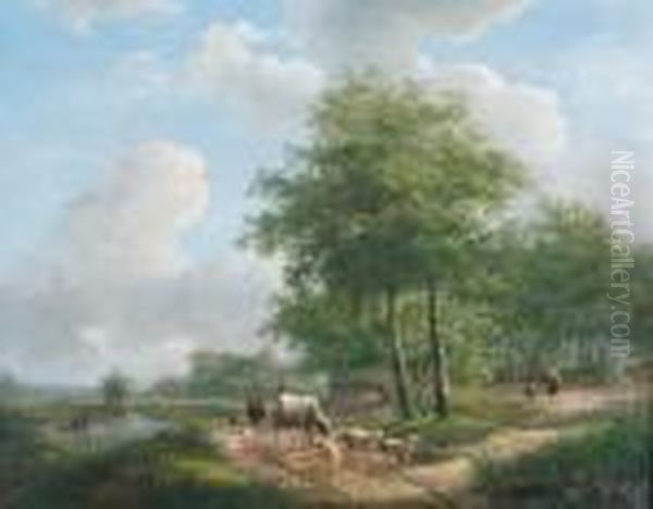 Walking Along A Sunlit Path In The Countryside - view 1