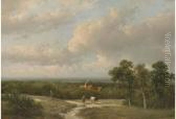 A Panoramic Landscape In Summer - view 1