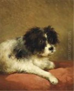 Best Friend: Portrait Of A Dog Best Friend: Portrait Of A Dog