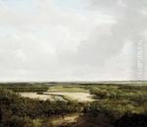A Panoramic Wooded Landscape In Summer - view 1
