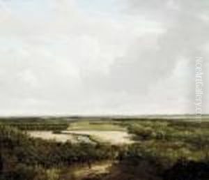 A Panoramic Wooded Landscape In Summer