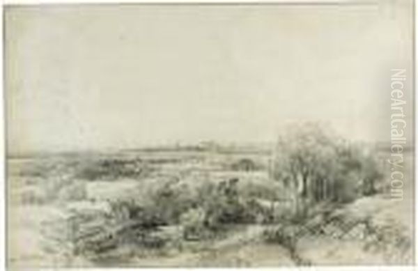 Panoramic View Of Haarlem With The Ruins Of Castle Brederode - view 1