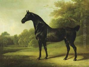 A Bay Horse in a Wooded Landscape, 1814