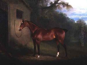 Portrait of a Bay Hunter Tethered to a Stable by Charles Henry Schwanfelder