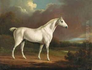 A grey hunter in an extensive wooded landscape by Charles Henry Schwanfelder