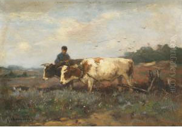 Ploughing, Holland - view 1