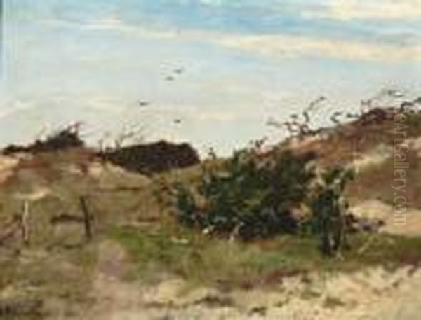 Duinlandschap - view 1