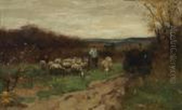 Collecting The Flock - view 1