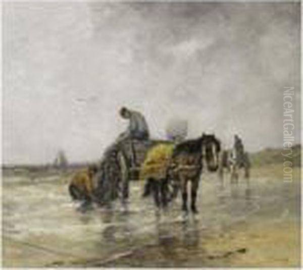 Shell Fishers In The Breakers - view 1