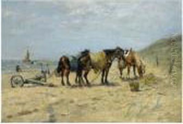 On The Beach - view 1