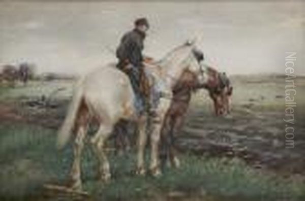 The Plough Team - view 1