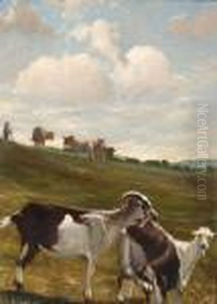 Billy Goat And Goats In A Landscape - view 1