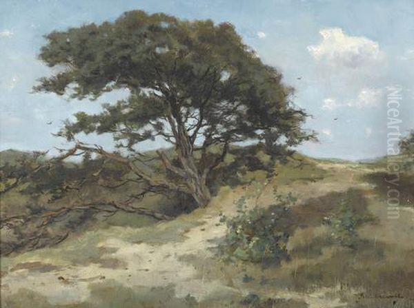 Sonnige Dunenlandschaft Mit Knorrigem Baum - view 1