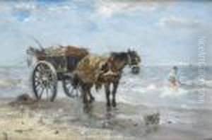 The Seaweed Gatherer
