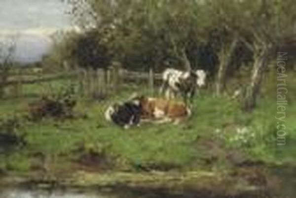Calves By The Water-front - view 1