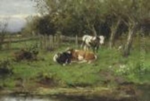 Calves By The Water-front Calves By The Water-front
