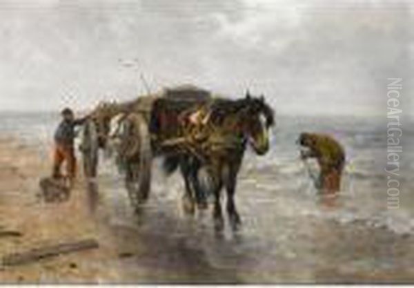 A Shell Fisher In The Breakers - view 1
