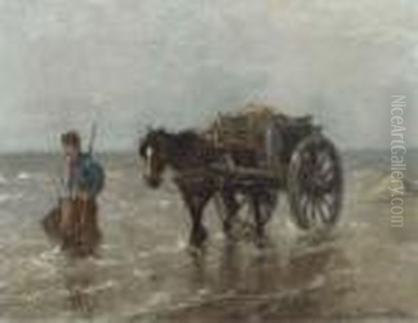 The Shell Gatherer - view 1
