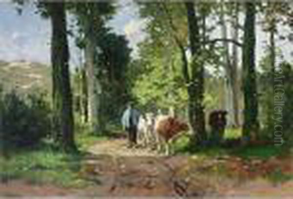 Cows Returning From Pasture - view 1